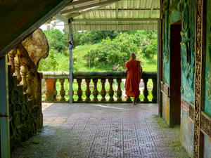 Monk Life