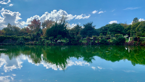 Nature s Own Reflection