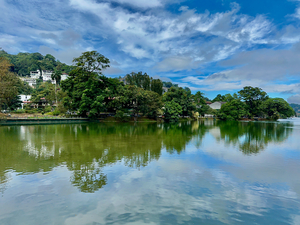 Natures Reflections 2