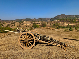 Old Farm Wagon