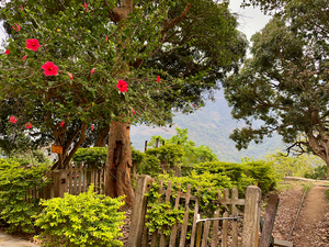 Red Flowers Gate