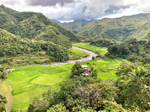 Rice Valley