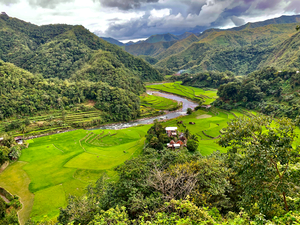 Rice Valley 2