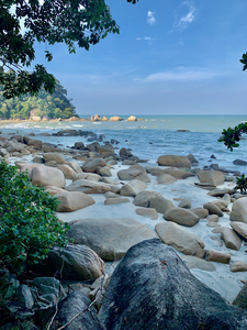 Rocky Horizon