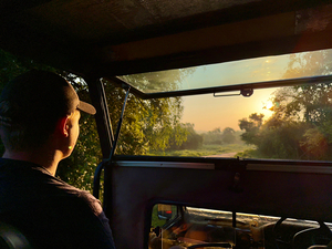 Safari Time