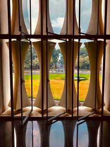 Stylish Window