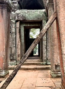 Temple Way