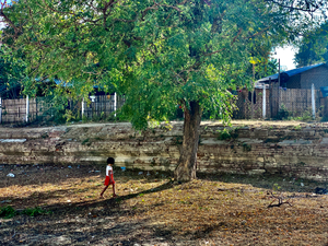 The Little Girl and the Tree