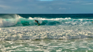 The Surfer