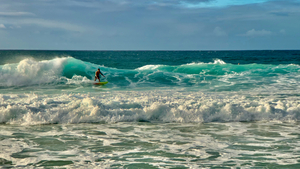 The Surfer 2