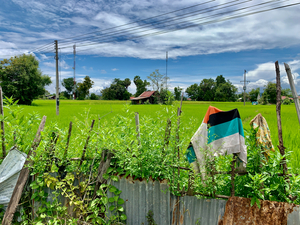 Village House