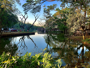 Village Reflection