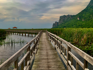 Wooden Walkway 2