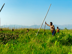 Working in the Field