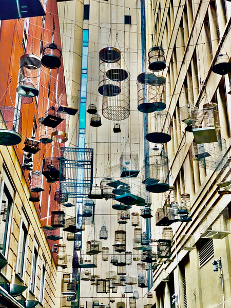 All the Cages by Jimmy Roy Photos
