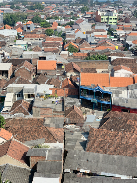 All the Roofs Print