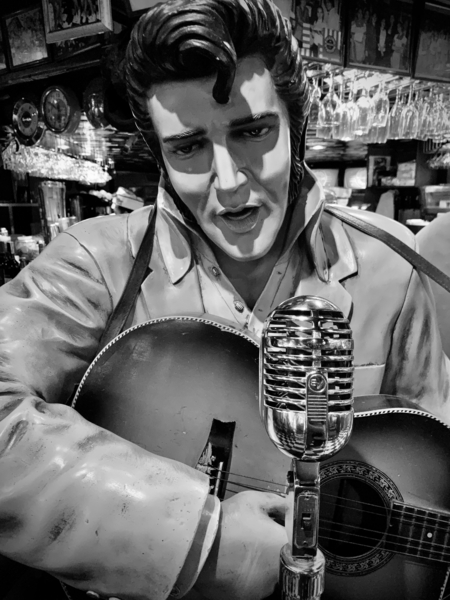 BW Elvis Print