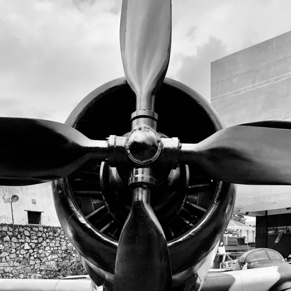 BW Propellers Print