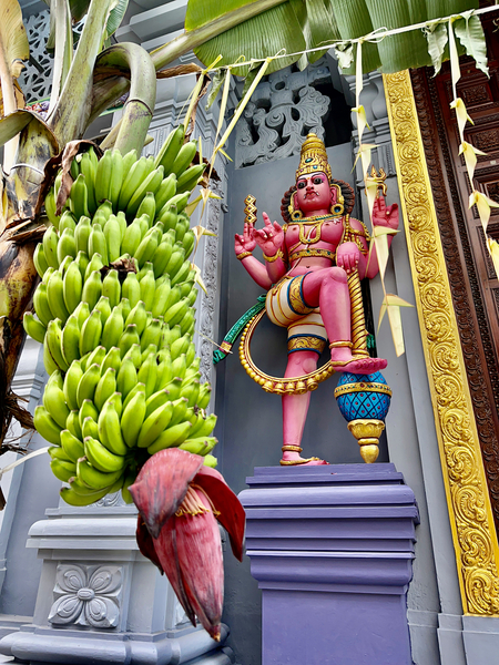 Bananas Offering Print