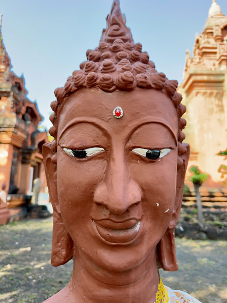 Buddha Closeup Print