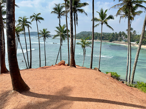 Coconut Hill Print