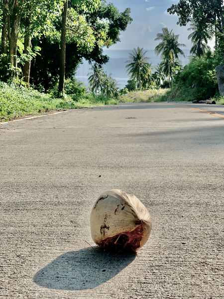Coconut Shadow Print