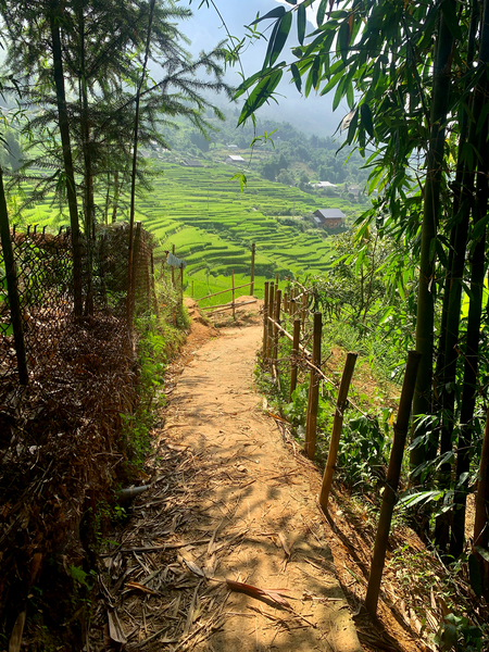 Enter the Rice Fields Print