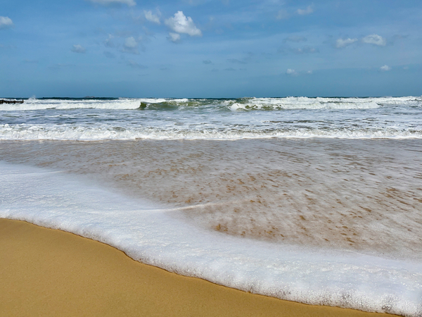 Enter the Wave Print