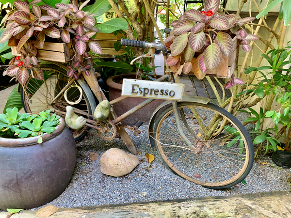 Espresso Bike Print
