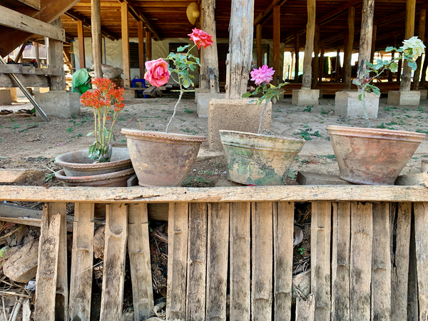 Flower Pots Print