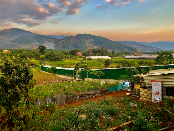 Gardens Mountains  Sunset by Jimmy Roy Photos
