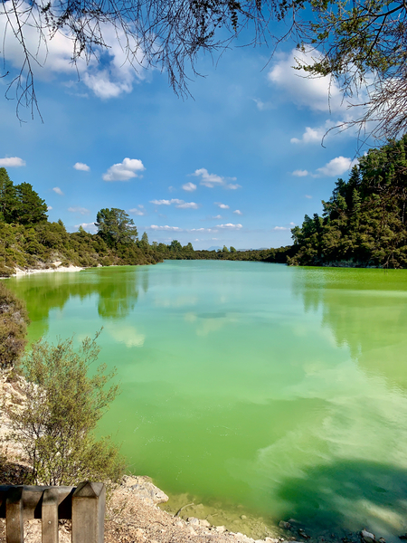 Green Lake Print