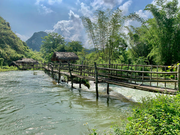 Long Bamboo Bridge Print