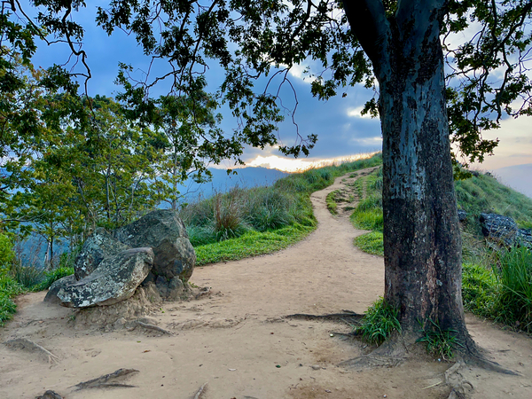 Mountain Path Print