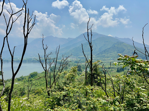 Mountains Behind the Branches by Jimmy Roy Photos