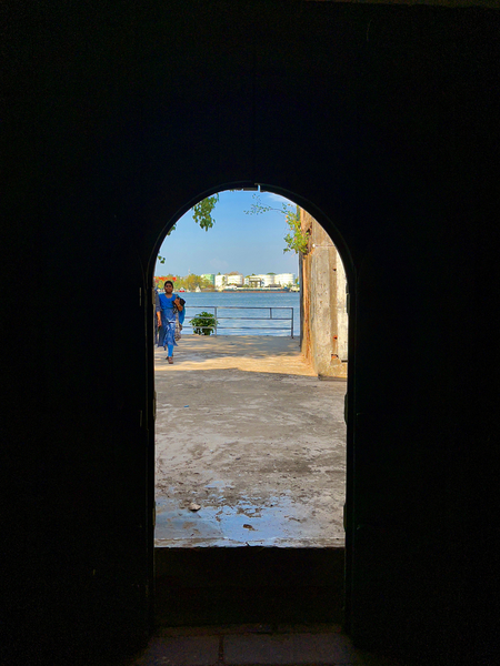 Peaking Ouside Print