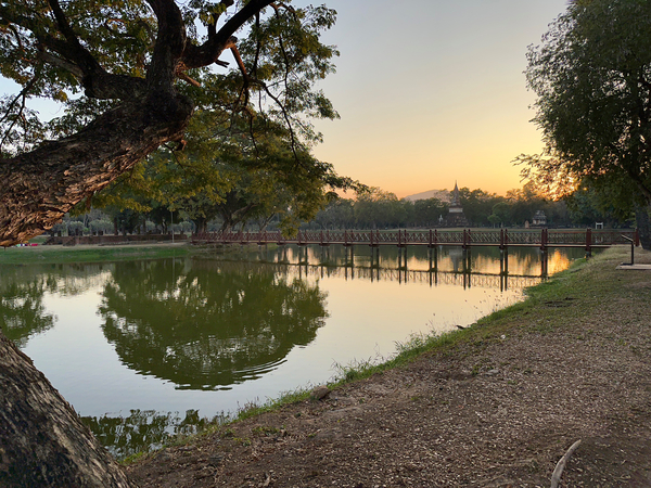 Perfect Tree Reflection During Sunset Print