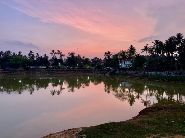 Purple Reflection on the Lake by Jimmy Roy Photos