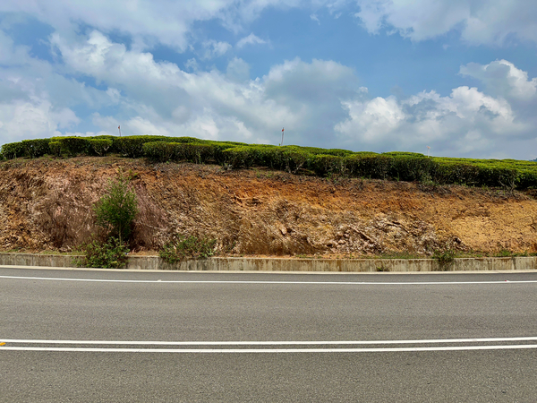 Roadway Print
