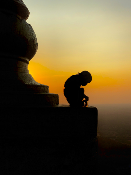 Meditative Monkey at Sunset Print