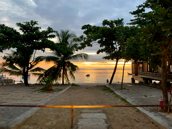 Sunset Between the Palm Trees Print