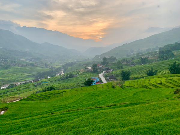 Sunset Over Sapa Rice Field by Jimmy Roy Photos