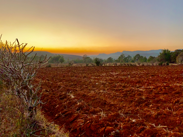 Sunset Over the Red Soil  by Jimmy Roy Photos