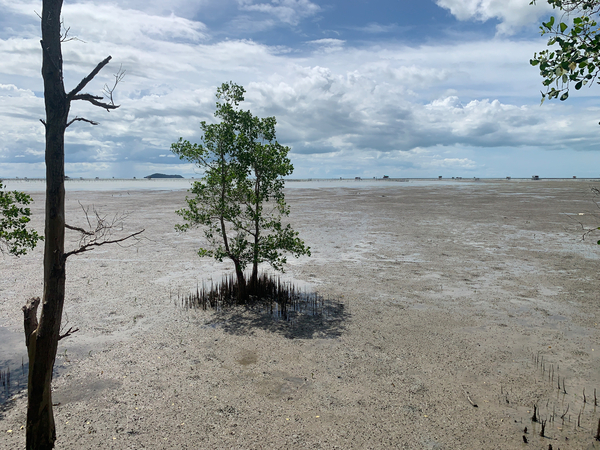 The Lonely Tree 2 Print