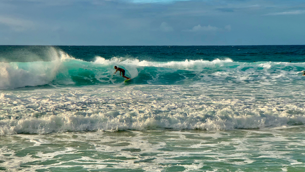 The Surfer Print