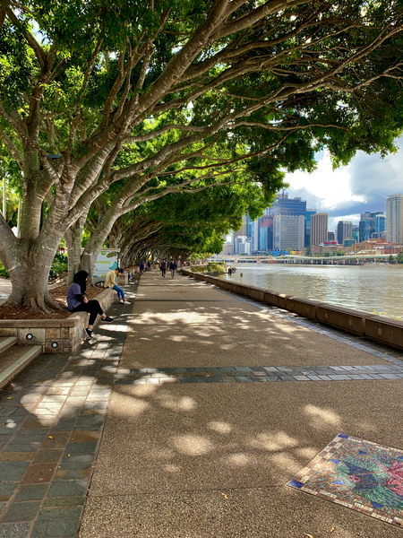 Walking Around Brisbane Print