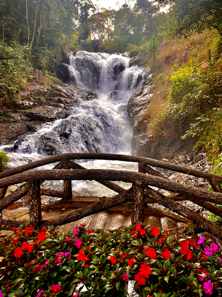 Waterfall and Red Flowers by Jimmy Roy Photos