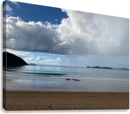 Half Nice Half Rain 2 Canvas Print
