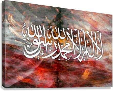 Declaration Canvas Print