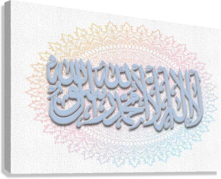Declaration Pastel Canvas Print